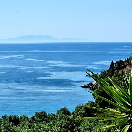 Enjoy Lichnos Bay Village, Camping, Hotel And Apartments Parga Dış mekan fotoğraf